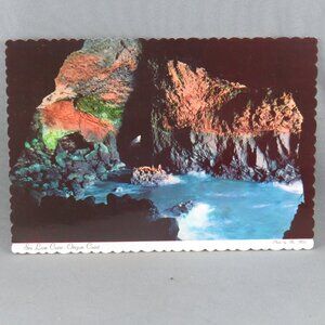 Vintage Postcard - Sea Lion Cave Oregon - Dexter Press